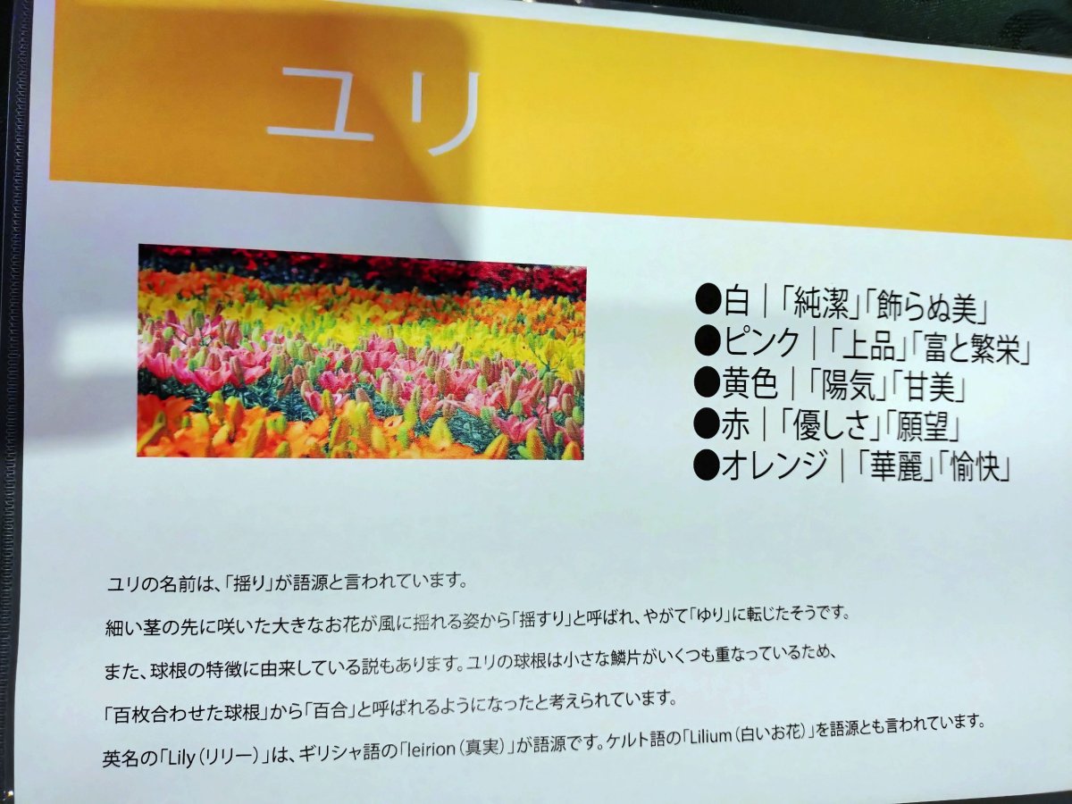 写真4