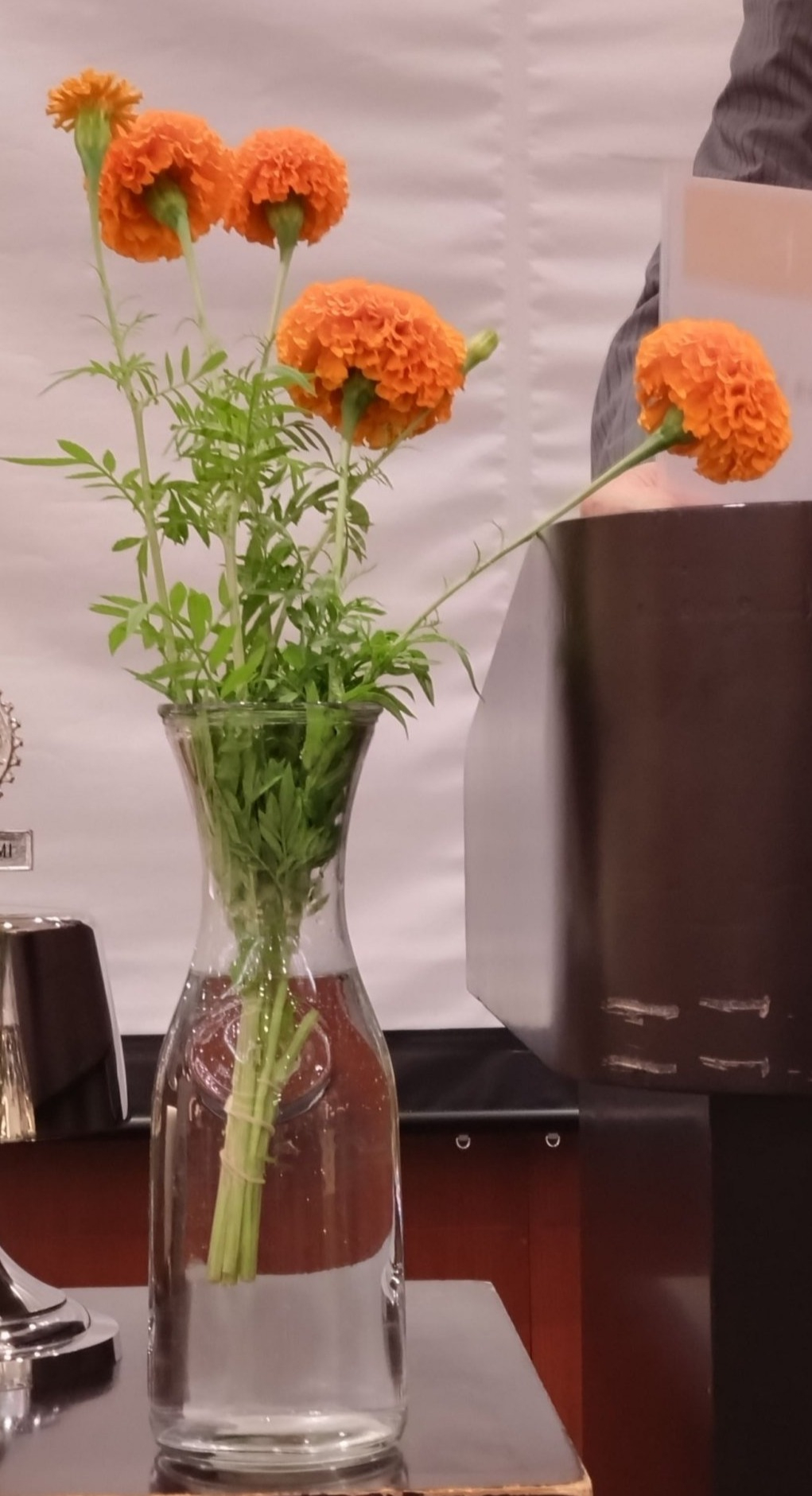 今日の花