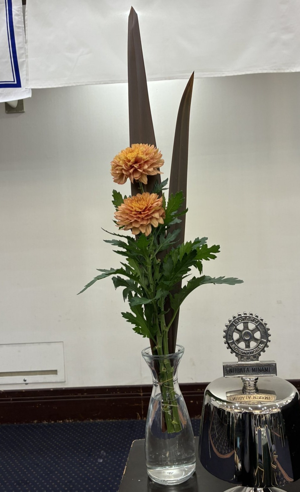 今日の花