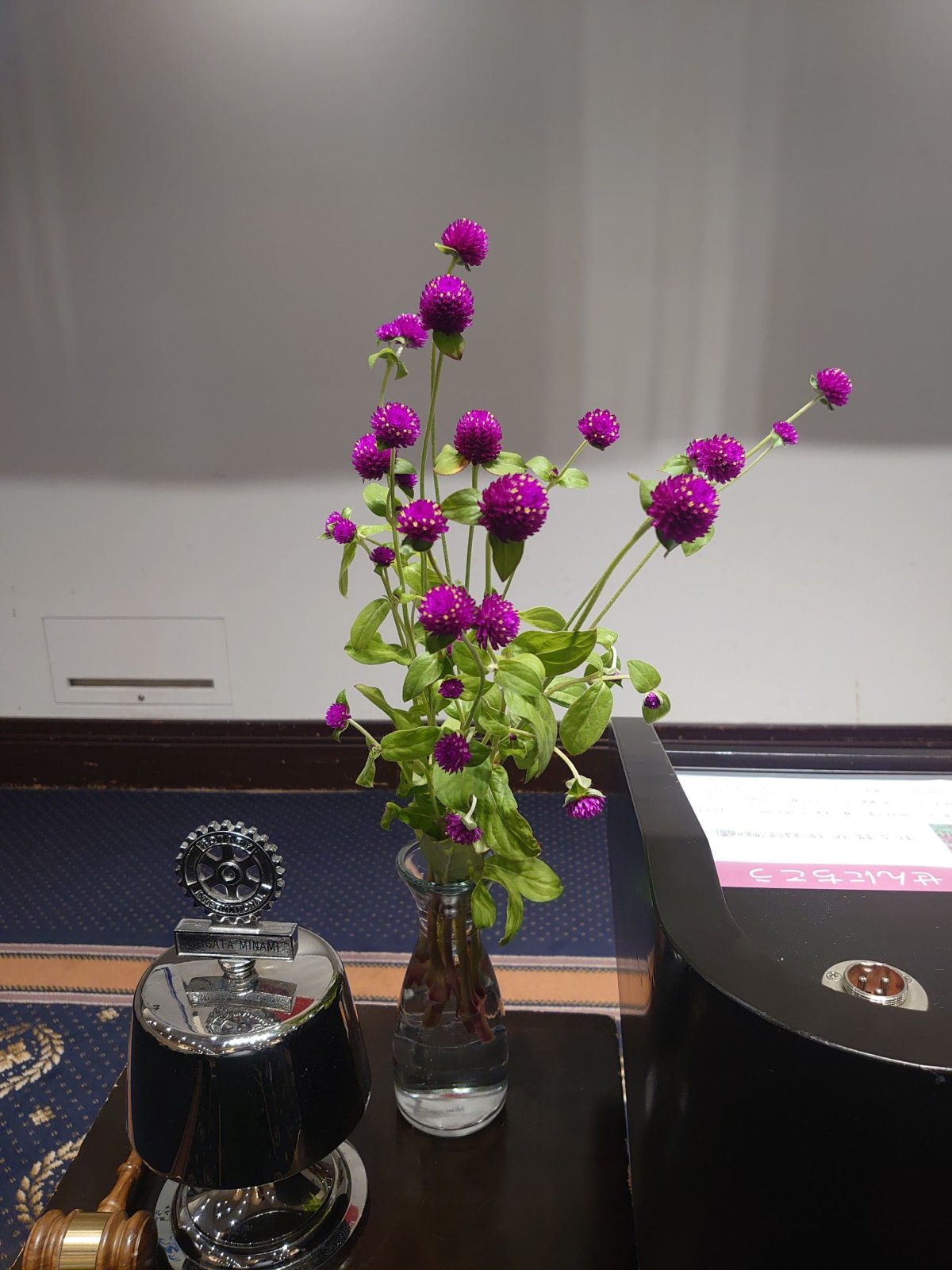 今日の花