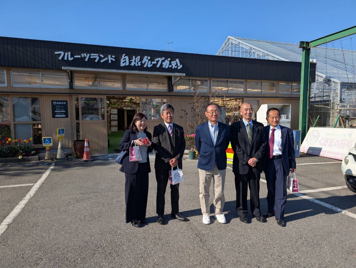 フリーレイアウト画像