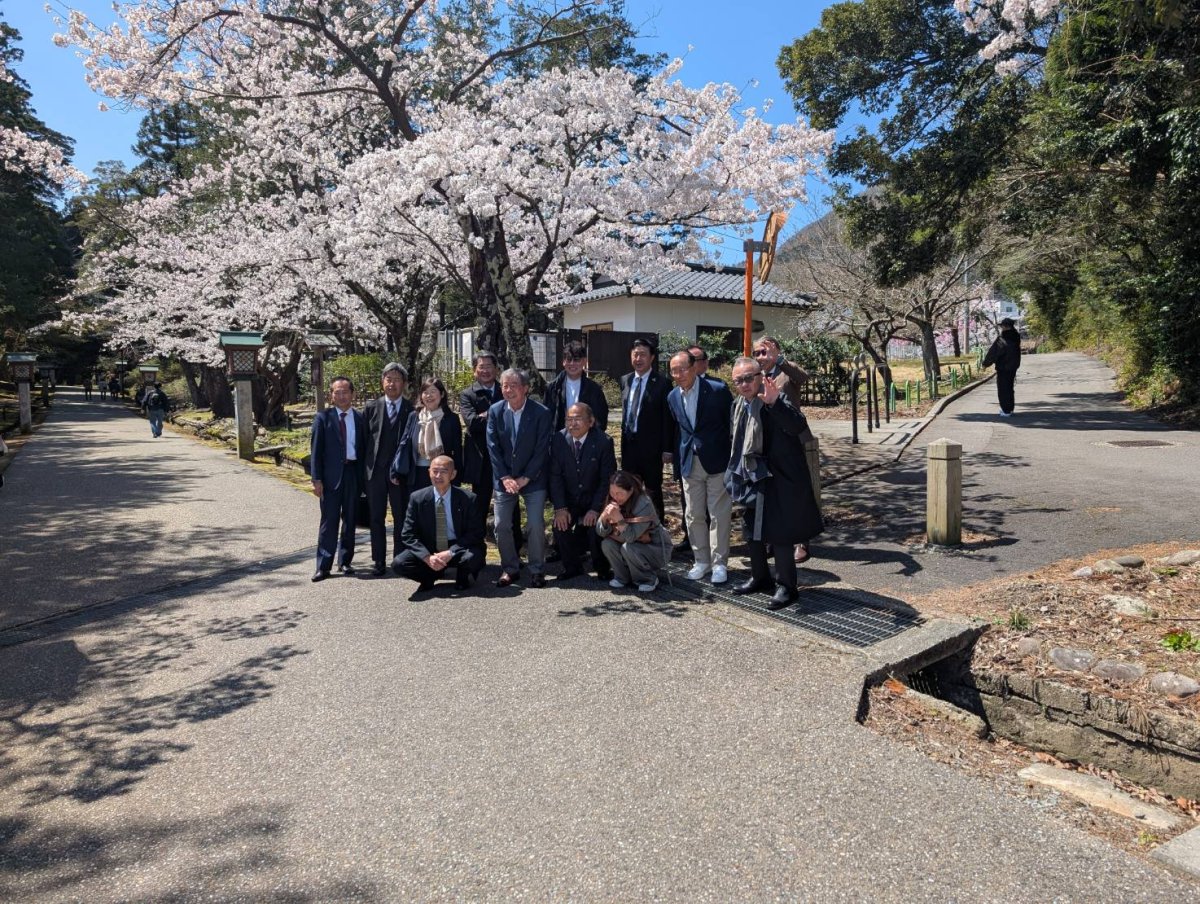 フリーレイアウト画像