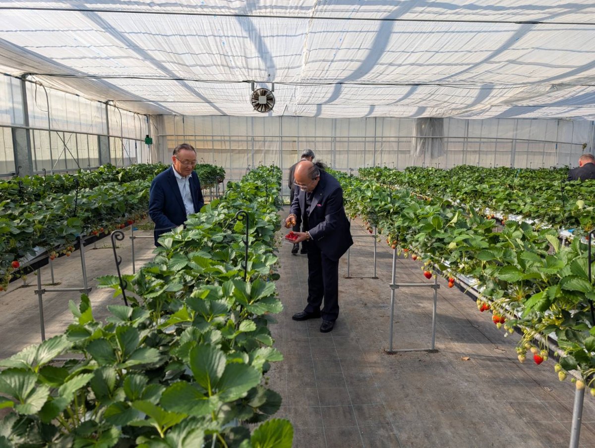 フリーレイアウト画像