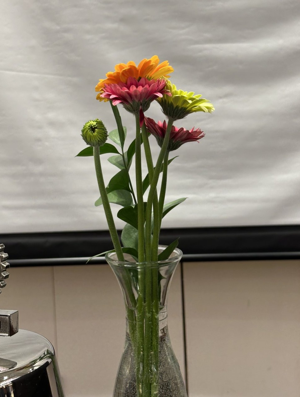 今日の花