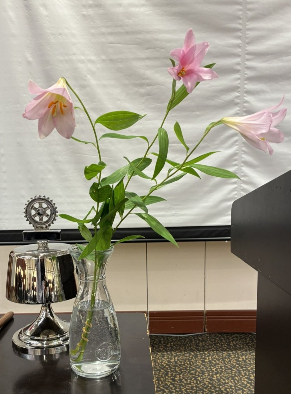 今日の花